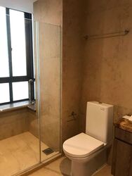 Holland Link (D10), Terrace #575493541